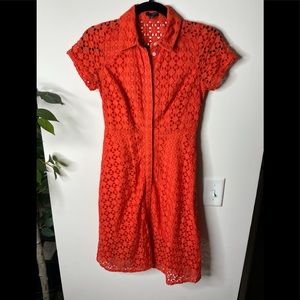 Ann Taylor Petite Shirt Dress Button Down Front